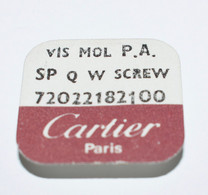 Cartier 5 Vis Mol Plaqué Argent - SP Q W Screw 72022182100 - Zubehör