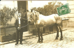 93 LE PRE SAINT ST GERVAIS FIER DE PRESENTER SON CHEVAL - Le Pre Saint Gervais