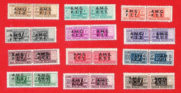 1947-48 (1-12) Francobolli Per Pacchi Postali  Sovrastampati Su Due Righe - Nuovo MNH LEGGI BENE - Postal And Consigned Parcels