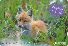 Carte Orange JAPON - ANIMAL - RENARD - FOX JAPAN Prepaid JR Transport Ticket Card - FUCHS - 164 - Non Classificati