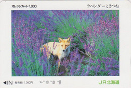 Carte Orange JAPON - ANIMAL - RENARD & Lavande - FOX & Lavender JAPAN Prepaid JR Transport Ticket Card - FUCHS - 168 - Non Classificati
