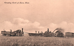 Threshing North Of Havre, Montana - VERY RARE! - Havre