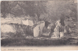 AL111 BLIDA  - VUE SUR UN MARABOUT EN PLEIN BOIS - DOS VERT - Blida