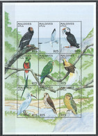NW590 MALDIVES FAUNA BIRDS 1KB MNH - Otros