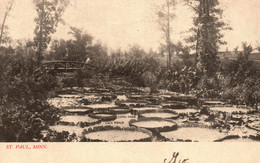 Lily Pond, Como Park - St. Paul, Minnesota - RARE In This Edition! - St Paul