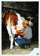 ► CPSM  La Traite Des Vaches Lait Milk - Farmers