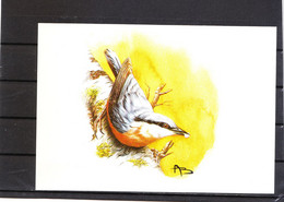 2294 Buzin - Sittelle Torchepot (Horizontale) - 1985-.. Birds (Buzin)