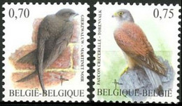 3608/3609** - Martinet Noir / Gierzwaluw - Faucon Crécerelle / Torenvalk - Buzin - BELGIQUE / BELGIË - 1985-.. Birds (Buzin)