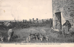 LANCIEUX - Vue Prise Du Vieux Moulin De La Touche - Moutons - Philatélie Cachet En Pointillés - Lancieux