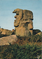 TREBEURDEN  22  Le Pere Trebeurden - Dolmen & Menhirs