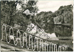 Berlin - Wilmersdorf - Volkspark Von Der Blissestrasse - Foto-Ansichtskarte - Verlag Kunst Und Bild Berlin - Wilmersdorf