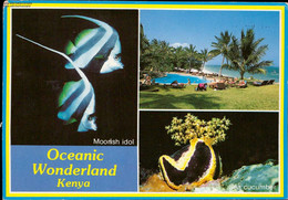 1091984 - Oceanic Wonderland Kenya - Moorish Idol, Sea Cucumber Mehrbildkarte - Kenya