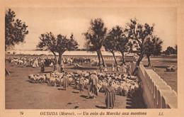 ¤¤    -    MAROC   -   OUDJDA   -   Un Coin Du Marché Aux Moutons       -   ¤¤ - Altri & Non Classificati