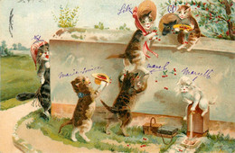 Chat Humanisé * CPA Illustrateur Maurice BOULANGER Boulanger * Cueillette Des Cerises * Enfants * Chats Cat Cats Katze - Katzen