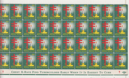 Verenigde Staten Kerstvignetten Scott-cat. Jaar 1952 CS46 WX 159/160 Velfragment - Zonder Classificatie