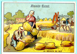 Chromo Biscuits Pernot. La Récolte Du Blé. La Lithographie Parisienne. - Pernot
