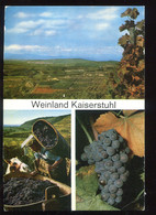 CPM Allemagne Weinland KAISERSTUHL Multi Vues - Kaiserstuhl