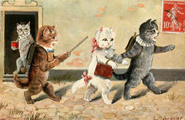 Chat Humanisé * CPA Illustrateur SCHRÖNLER * Le Maître D'école * Enfants écolier Règle * Chats Cat Cats Katze - Chats