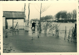Overstromingen Winter 1960-1961 Bornem - Oude Schelde ?? -10 Foto's - 11 Scans - Bornem