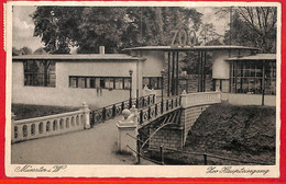 Aa7577 - Ansichtskarten VINTAGE  POSTCARD: GERMANY Deutschland -  MUNSTER 1930's - Munster