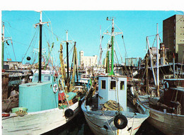 SENIGALLIA (Italie), Petit Port, Bateaux De Pêche, Ed. La Moderna 1970 Envron - Senigallia