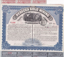 REBECCA GOLD MINING - COMPANY LIMITED OF COLORADO - CERTIFICAT AU PORTEUR DE 25 ACTIONS DE 5 DOLLARS CHACUNE - A - C