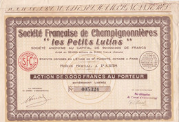 SOCIETE FRANCAISE DE CHAMPIGNONNIERES "LES PETITS LUTINS" - ACTION DE 3 000 FRANCS - A - C