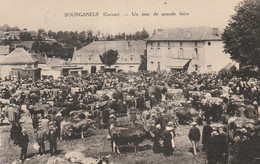 Bourganeuf - Un Jour De Grande Foire - Bétail - Bourganeuf