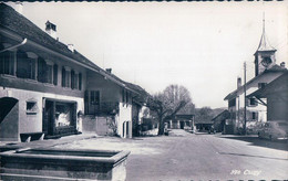 Cugy VD, Place, Fontaine Et Collège (370) - Cugy