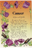 - CP- Astrologie - Signes Du Zodiaque - Style Fleurs Butinées  - Cancer - Astrology
