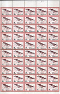 Uruguay - 1962 - Feuille - Zorzal - Rufous-bellied Thrush  Turdus Rufiventris - Expédié Plié - Other