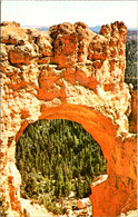 Utah Bryce Canyon National Park Natural Bridge - Bryce Canyon