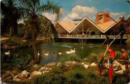 Florida Tampa Busch Gardens The Hospitality House 1973 - Tampa