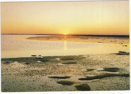 Groeten Van Het Eiland Ameland - (Wadden, Nederland) - L 479 - Ondergaande Zon - Ameland