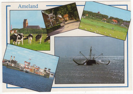 Ameland - (Wadden, Nederland) - Nr. AMD 37 - Vee, Vissersschepen - Ameland