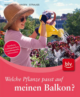 Welche Pflanze Passt Auf Meinen Balkon? - Botanik