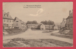 Watermael-Boitsfort -  Le Logis - Avenue Des Oiseaux - 1930 ( Voir Verso ) - Watermaal-Bosvoorde - Watermael-Boitsfort