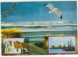 Woelige Zee Op Ameland - (Wadden, Nederland) - Nr. L 8090 - Ameland