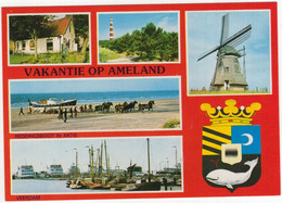 Vakantie Op Ameland - (Wadden, Nederland) - Nr. L 5033 - Ameland