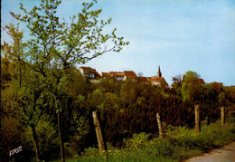 LA PETITE PIERRE        ( BAS - RHIN )   VUE SUR LA PETITE PIERRE - La Petite Pierre