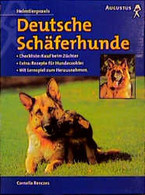 Deutsche Schäferhunde - Tierwelt