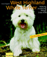 West Higland White Terrier - Animaux