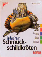 Meine Schmuckschildkröten - Animals