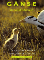 Gänse - Ein LeseBilderbuch - Tierwelt