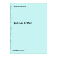 Tauben In Der Stadt - Animales