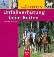 Unfallverhütung Beim Reiten - Tierwelt