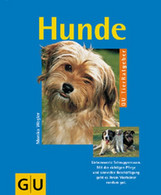 Hunde - Tierwelt