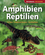 Amphibien Und Reptilien - Animals