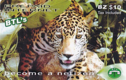BELIZE - Jaguar, BTL Prepaid Card BZ $10, Used - Belize