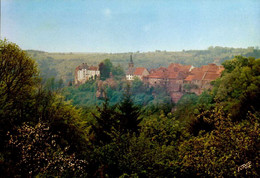 LA PETITE PIERRE        ( BAS - RHIN )   LE CHATEAU - La Petite Pierre